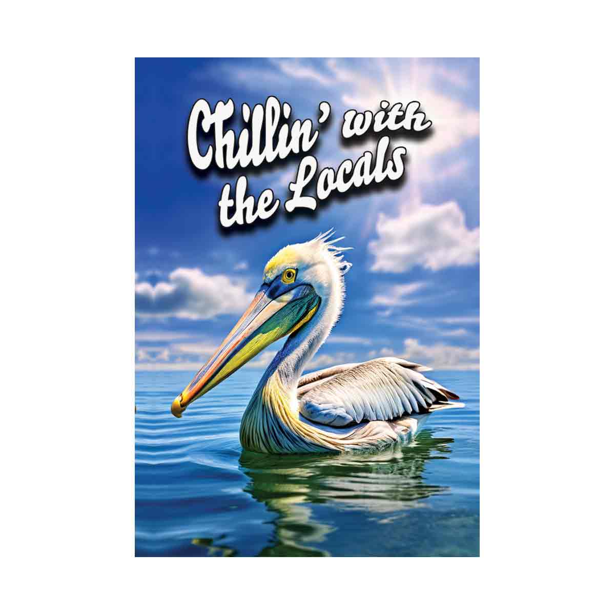 Chillin with the locals   Grey Pelican Locals