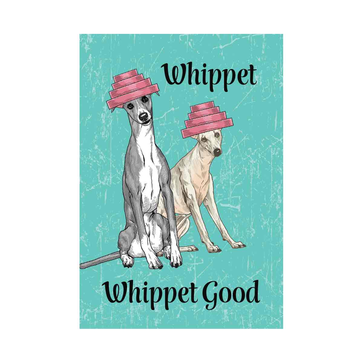 Whippet Whippet Good
