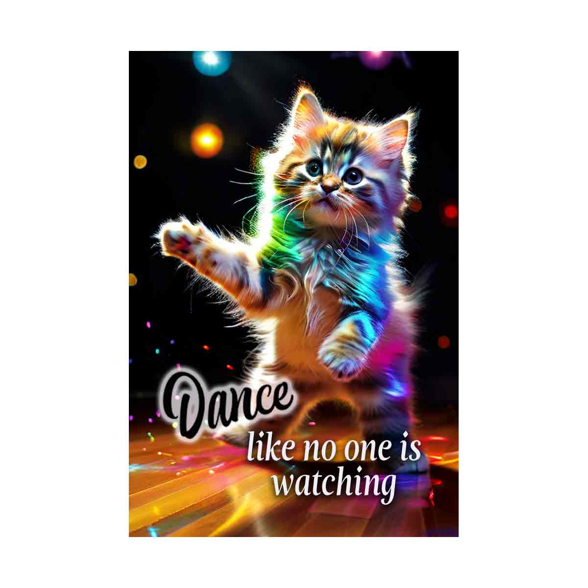 Dance like no one is watching kitten