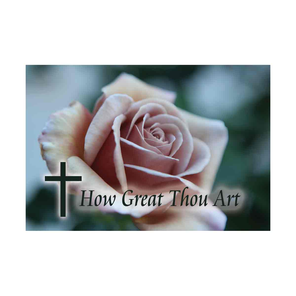How Great Thou Art - Rose