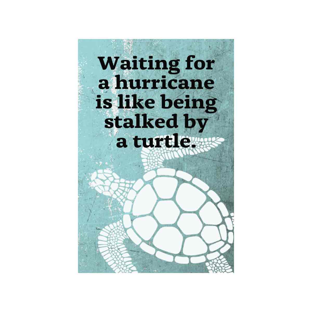 Waiting for a hurricane - Turtle